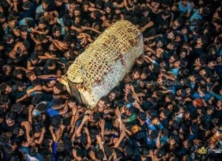 कोरोना वायरस के कारण नहीं उठेगा 19 रमज़ान का जुलूस: मीसम ज़ैदी