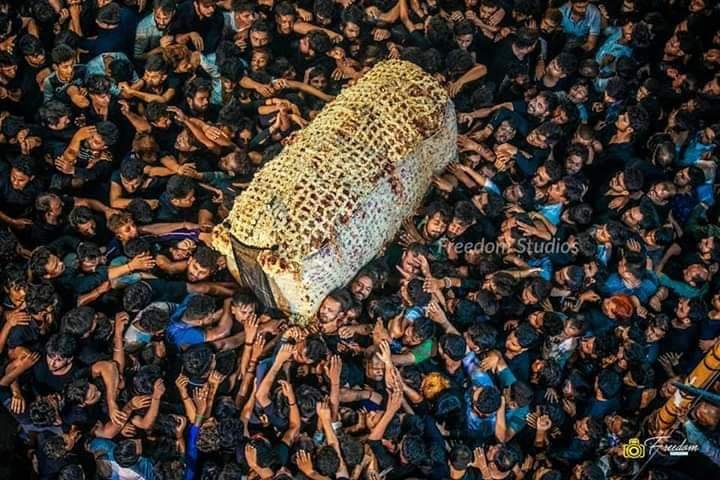 कोरोना वायरस के कारण नहीं उठेगा 19 रमज़ान का जुलूस: मीसम ज़ैदी