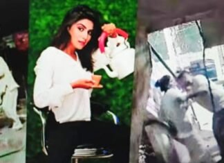लखनऊ में मॉडल चाय वाली सिमरन गुप्ता के साथ पुलिस की मारपीट