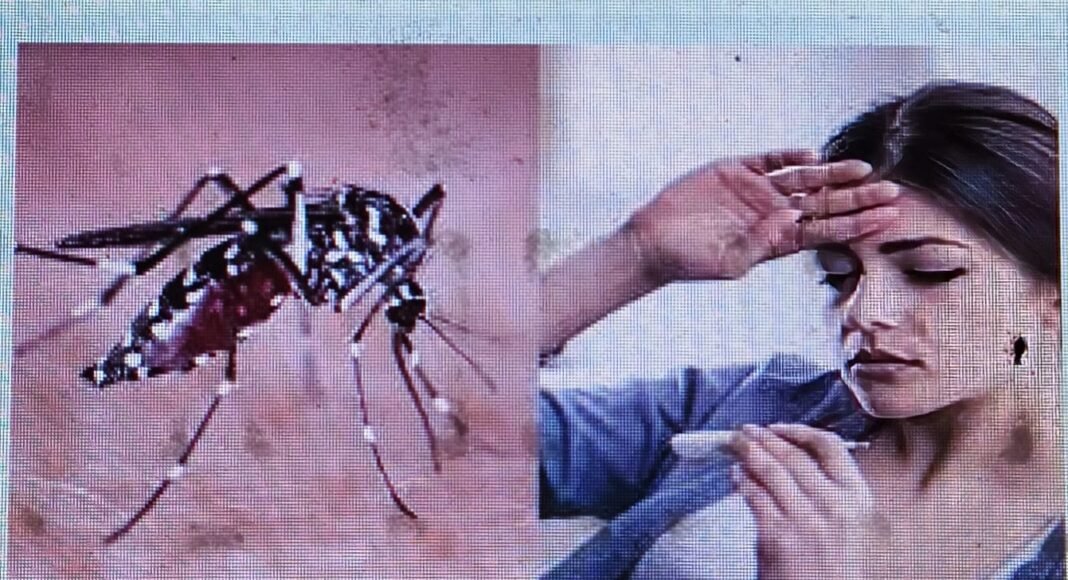 लखनऊ में डेंगू के मामलों में वृद्धि, प्रशासन अलर्ट