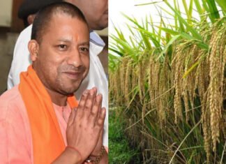 किसानों से धान की सीधी खरीद मामले में सीएम योगी गंभीर