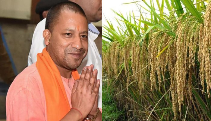 किसानों से धान की सीधी खरीद मामले में सीएम योगी गंभीर