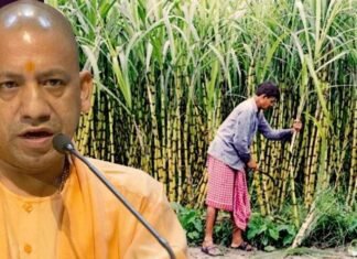 मुख्यमंत्री योगी आदित्यनाथ ने किया  सल्फर फ्री चीनी उत्पादन यूनिट का शुभारंभ