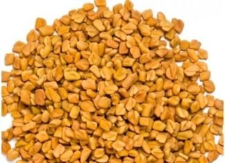 मेथी का करें  प्रयोग और बचें हृदय रोग, मधुमेह ,किडनी सहित कई बीमारियों से
