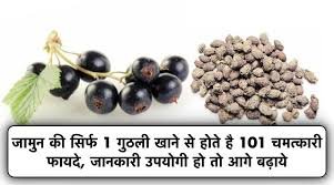 जामुन और गुठली के लाभ जानकर आप पड़ जाएंगे अचम्भे में