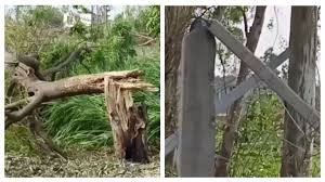 उत्तर प्रदेश में आंधी-तूफान और बारिश का कहर, कई मौतें, भारी नुकसान