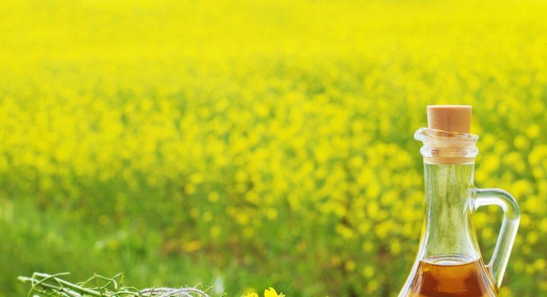 लो भाई महंगाई डायन को अब सरसों के तेल का तड़का