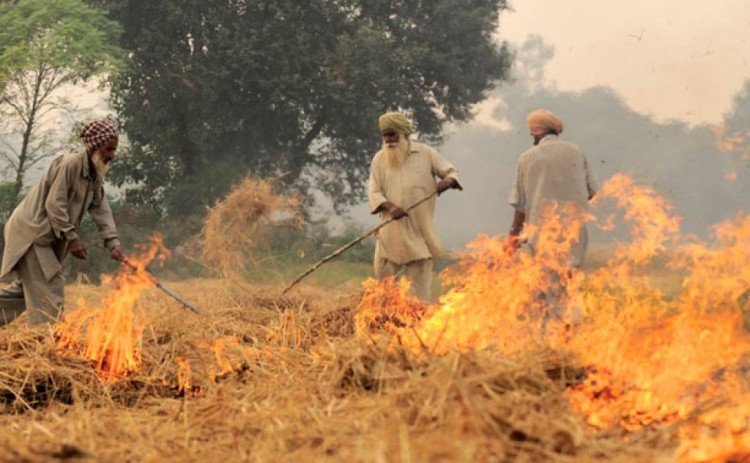 पराली निस्तारण के बहाने किसानों को जेल भेजकर उनका उत्पीड़न कर रही है योगी सरकार – अजय कुमार लल्लू